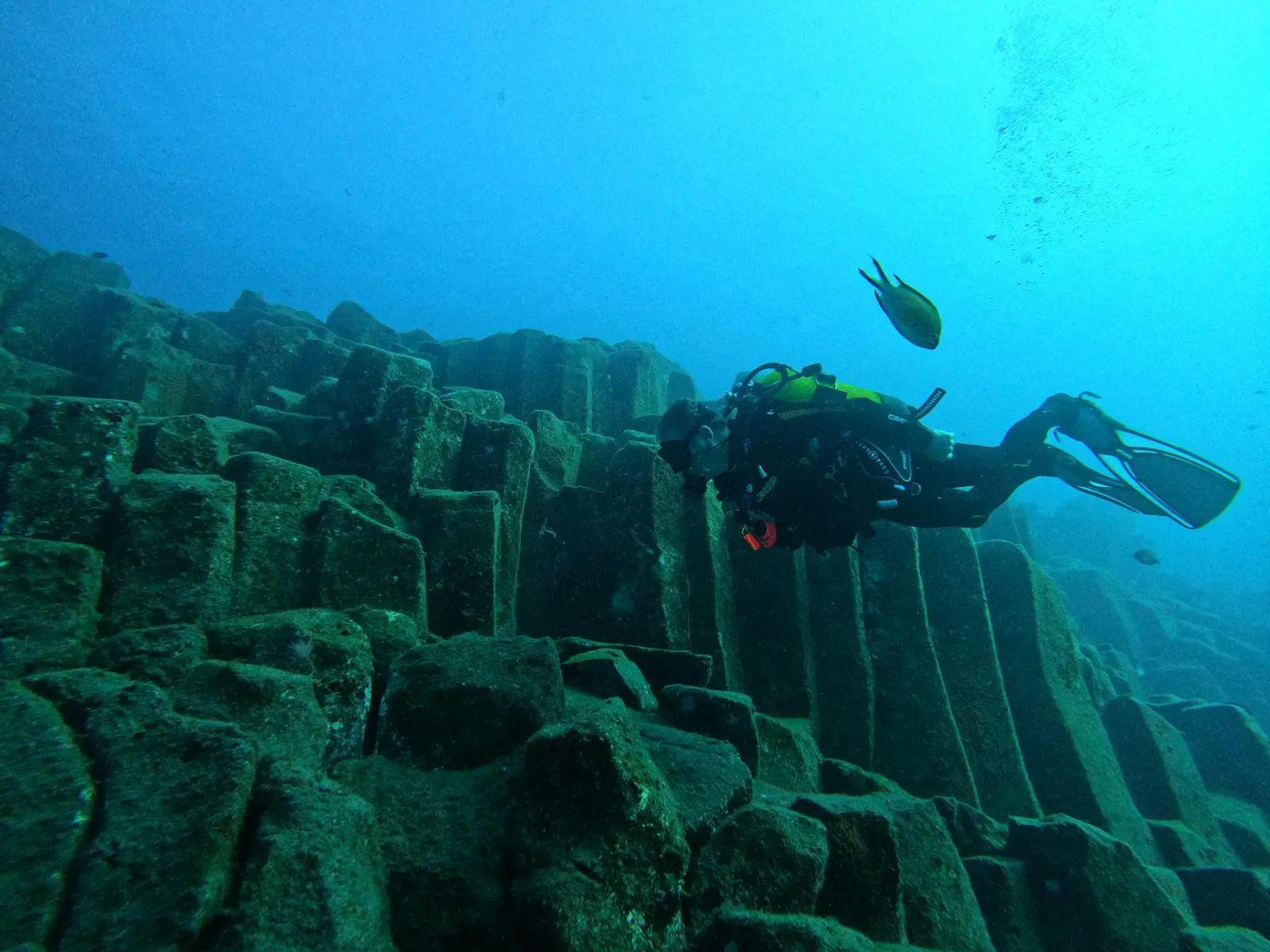 Atlantis dive site, Los Gigantes